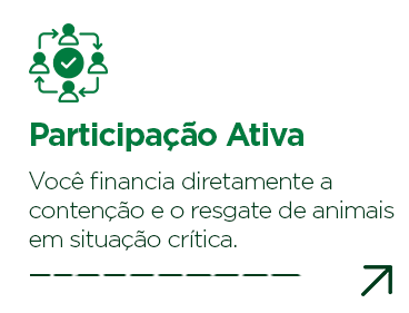 Participacao ativa na comunidade de telemedicina veterinaria